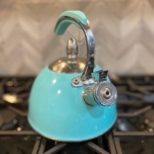 Teal Tea Kettle
